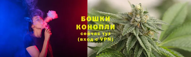 Канабис OG Kush  купить наркоту  Красный Холм 